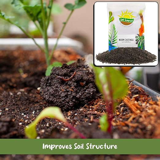 Soil Sunrise Premium Organic Worm Castings (1 Pound) 1QT All Natural Soil Additive, Builder, and Fertilizer