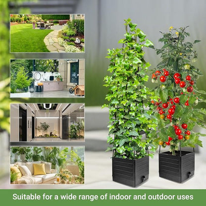 2 Pack Tomato Planter with Trellis 57 Inch, Raised Garden Bed Planter Boxes Self-Watering for Climbing Vegetable, Plants and Tomato Cages for Indoor Outdoor