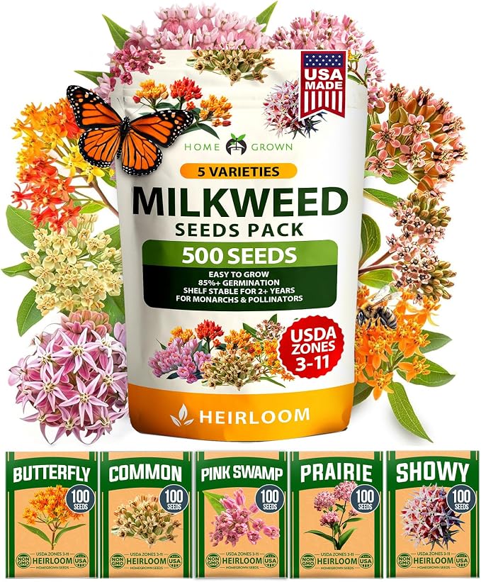HOME GROWN Milkweed Flower Seeds - 500+ Heirloom Perennial Wildflower Seeds (5 Individual Varieties) Supports Monarch Habitat, Grows in Zones 3-11 (Asclepias syriaca)