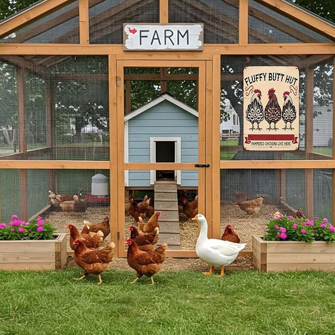 Vintage Chicken Signs Fluffy Butt Hut Pampered Chickens Live Here, whimsical chicken decor Decor for Chicken Coop Farm Kitchen Garden Yard Wall Art 8x12 Inch