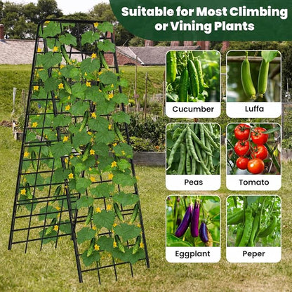 A-Frame Cucumber Trellis for Raised Bed, 50"x 16" Adjustable Heavy Duty Metal Garden Trellis for Climbing Plants Outdoor, Plant Support for Tomatoes Pea Bean Grape Vining Vegetables (2 Pack)
