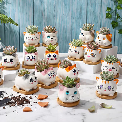 Cindeer 18 Pcs 2.5 Inch Cat Ceramic Succulent Planter Pots – Cute Cat Small Pots with Drainage Hole and Bamboo Tray for Succulents, Cactus, Home Garden Office Desk Decoration Gift Ideas