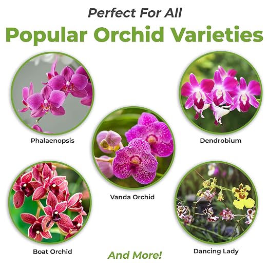 Perfect Plants Liquid Orchid Fertilizer 8oz. | Plant Food for All Epiphytic Varieties | Encourages Repeating Colorful Booms
