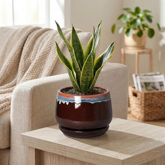 Ceramic Plant Pots - 6 Inch Planter with Drainage Hole and Saucer, Small Succulent Pot for Indoor Plants, Round Decorative Flower Pots, Garden Shelf Decor, Plant Gifts for Women, Brown-Blue