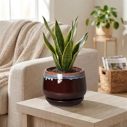 Ceramic Plant Pots - 6 Inch Planter with Drainage Hole and Saucer, Small Succulent Pot for Indoor Plants, Round Decorative Flower Pots, Garden Shelf Decor, Plant Gifts for Women, Brown-Blue