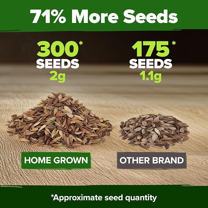 HOME GROWN Pink Zinnia Seeds – 300 Luminosa Zinnias 0.5g, Easy to Grow Annual Flower Seeds for Planting Outdoors for 2026, Fast Blooming, Heat Tolerant Herb Seed Garden Companion (Zinnia elegans)