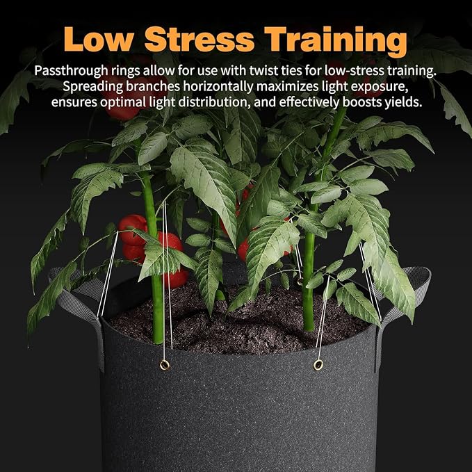 Patigrow Self-Watering Grow Bags, 5-Pack 10 Gallon 420G Thick Nonwoven Fabric Pots with Reinforced Handles and Multi-Purpose Rings, for Low Stress Plant Training Fruits, Vegetables,and Flowers