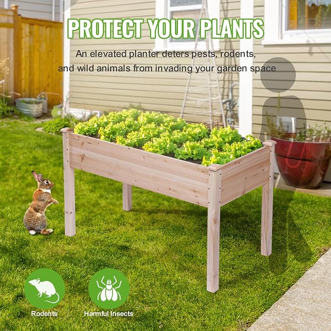 Backyard Expressions Wooden Raised Garden Bed | 48" x 24" x 30" Elevated Planter Box with Included Bed Liner | Outdoor Vegetable, Flower, and Herb Gardening
