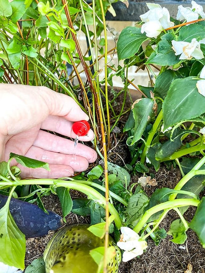 Rain Bird SWDMSPKIT Drip Irrigation Spot Watering Manifold on a Spike Kit, Bubblers and Emitters