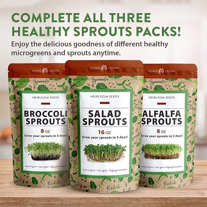 HOME GROWN Broccoli Seeds 8 oz Bulk Heirloom Non-GMO, High Germination, Sulforaphane Rich Sprouting Seeds, Nutritious Microgreens, Healthy Sprouts in 5 Days, Superfood Boost (Brassica oleracea)