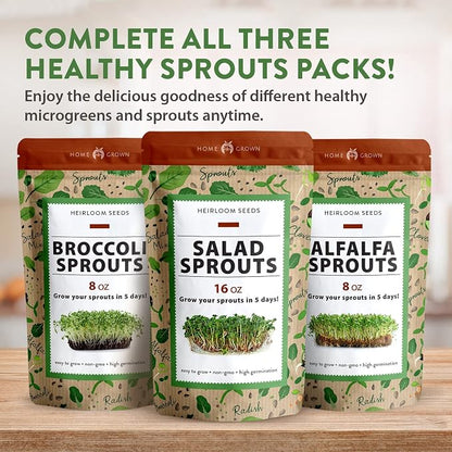 HOME GROWN Broccoli Seeds 8 oz Bulk Heirloom Non-GMO, High Germination, Sulforaphane Rich Sprouting Seeds, Nutritious Microgreens, Healthy Sprouts in 5 Days, Superfood Boost (Brassica oleracea)