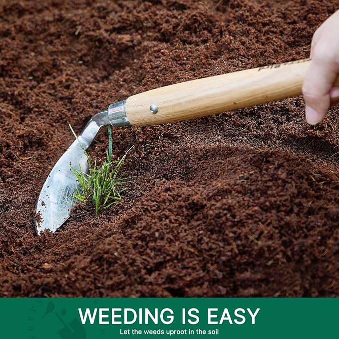 Berry&Bird Stainless Steel Bent Angle Gardening Sickle, Weed Scraper-Hoe with Ergonomic Ash Wood Handle, 12.67-Inch Blade for Weeding & Soil Loosening