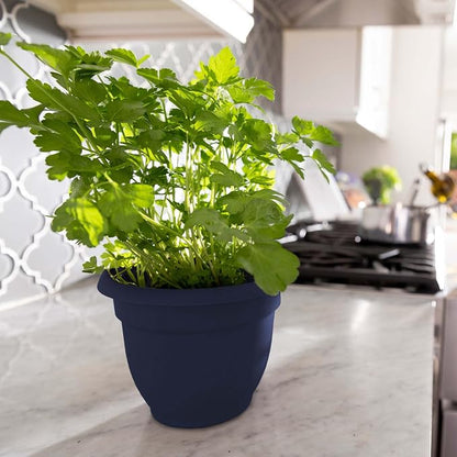 Bloem Ariana 8" Plastic Self-Watering Planter, Navy, 4-Pack | Self-watering disk at the bottom of each pot that acts as a water wick and reservoir for optimal plant health
