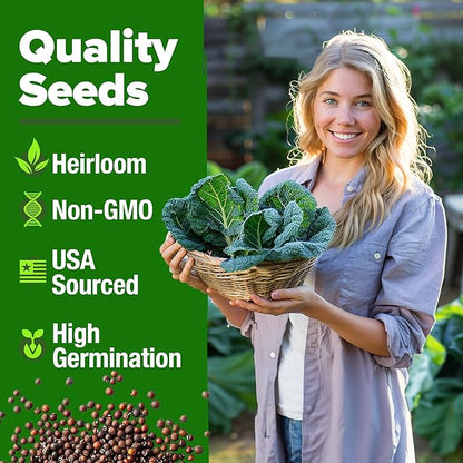 HOME GROWN Collard Greens Georgia Southern 300+ Heirloom Non GMO Seeds for Planting, High Germination, Heat & Cold Tolerant, Slow to Bolt, Nutritious Leafy Greens, Southern Cooking (Brassica oleracea)