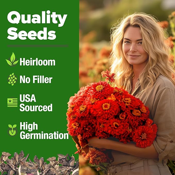 HOME GROWN Will Rogers Zinnia Seeds - 150 Zinnia Flower Seeds for Planting Outdoors - Tall Zinnia Elegans Cut Flowers - Heirloom Non-GMO Zinnia Seeds for 2026