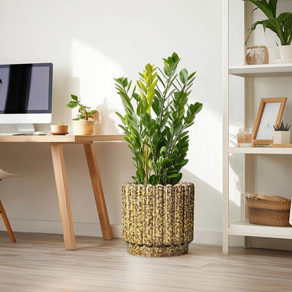 Ceramicfor Ceramic Plant Pots - 12 Inch Planter with Drainage Hole, Large Ceramic Flower Pots for Indoor Plants, Round Planter Outdoor, Living Room Decor, Gifts for Plant Lovers, Yellow