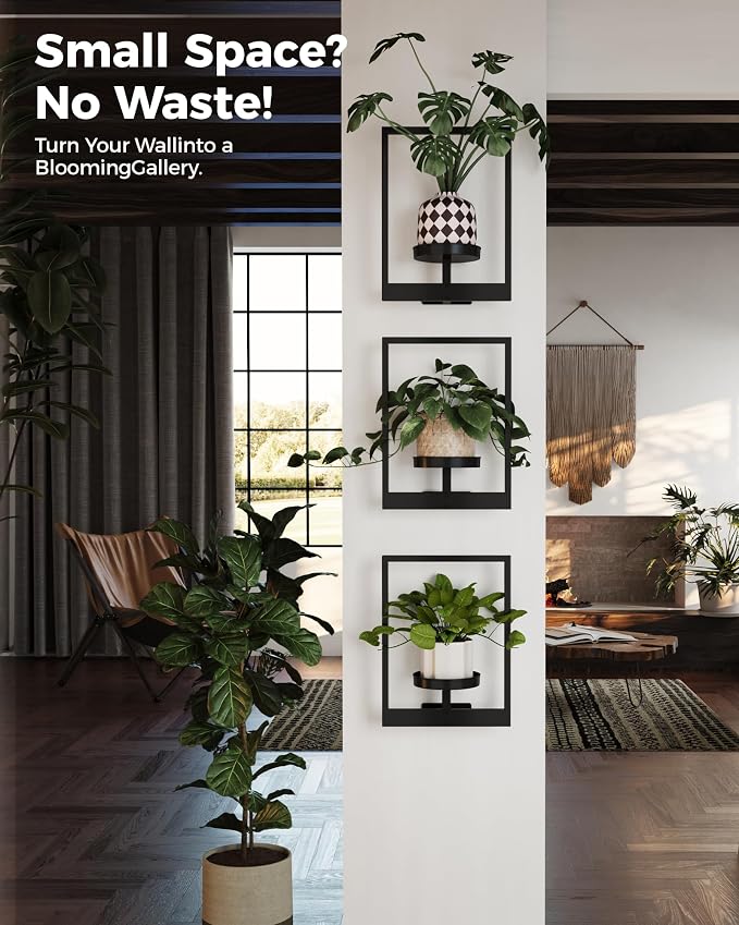Bamworld Hanging Planters for Indoor Plants Wall Decor Living Room Plant Stand Indoor Wall Planters Plant Hanger Window Plant Shelves 3 Pack for Outdoor Entryway
