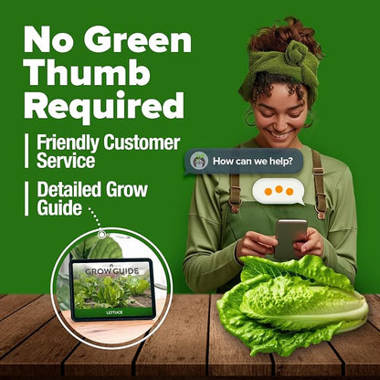 HOME GROWN Parris Island Romaine Lettuce Seeds 3,500+ Heirloom Non GMO, High Germination, Crisp Heads, Indoor Outdoor Hydroponic Garden, Crunchy Cos Lettuce, Slow to Bolt,Vitamin Rich (Lactuca sativa)