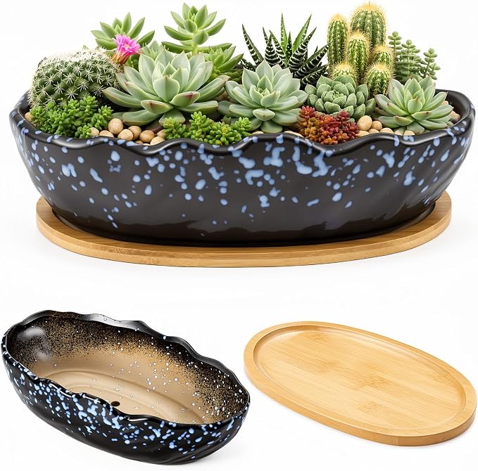 Succulent Pot 10 Inch Large Succulent Planters with Drainage Ceramic Bonsai Pot with Bamboo Tray Round Shallow Planter for Indoor Cactus Flower Planter Window Box for Home Garden Decor (Starry Blue)