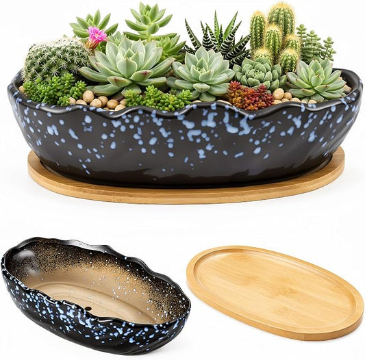 Succulent Pot 10 Inch Large Succulent Planters with Drainage Ceramic Bonsai Pot with Bamboo Tray Round Shallow Planter for Indoor Cactus Flower Planter Window Box for Home Garden Decor (Starry Blue)