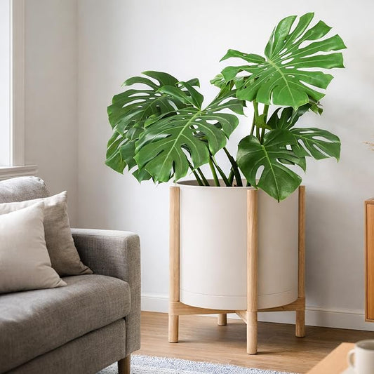 D'vine Dev Plastic Pot with Natural Wood Stand, Oatmeal, 16 in, 55-C-Y-4 | Mid-Century Inspired Design, Elevated Plant Display, Clean Lines, Sturdy Support, Modern Space-Saving Style