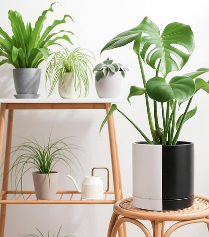 D'vine Dev 10 Inch Ceramic Planter Pot, Black White Split, 94-O-E-0 | Modern Cylinder Design, Drainage Hole & Saucer Included, Stable Structure, Elegant Home Accent