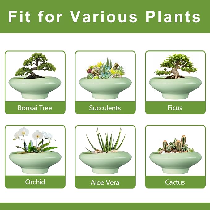 Ceramic Bonsai Pots - Large Succulent Planter 13 Inch Plant Pot Indoor Succulent Pot with Drainage Hole Outdoor Planter Bonsai Tree Pot for House Home Garden Office Decor Green