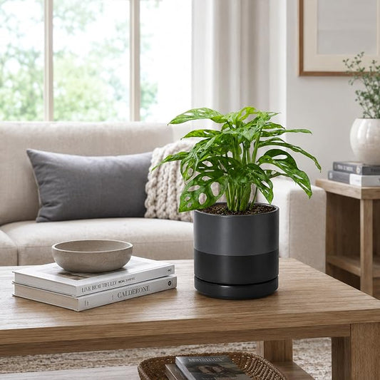 D'vine Dev 6.5 Inch Ceramic Planter Pot, Slate, 94-O-C-5 | Modern Cylinder Design, Drainage Hole & Saucer Included, Stable Structure, Elegant Home Accent