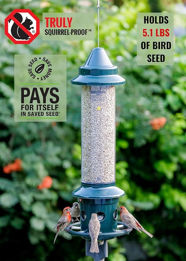 Squirrel Buster Plus Squirrel-proof Bird Feeder w/Cardinal Ring and 6 Feeding Ports, 5.1-pound Seed Capacity, Adjustable, Pole-mountable (POLE ADAPTOR SOLD SEPARATELY), Green | Squirrel-Proof Weight-Activated Shroud, Cardinal Ring, 6 Ports, 5.1 Lb Capa...