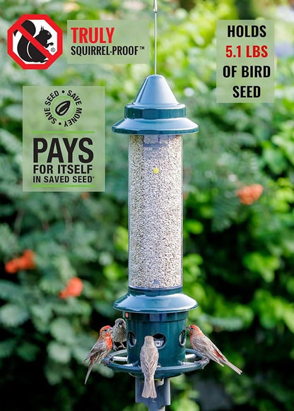 Squirrel Buster Plus Squirrel-proof Bird Feeder w/Cardinal Ring and 6 Feeding Ports, 5.1-pound Seed Capacity, Adjustable, Pole-mountable (POLE ADAPTOR SOLD SEPARATELY), Green | Squirrel-Proof Weight-Activated Shroud, Cardinal Ring, 6 Ports, 5.1 Lb Capa...