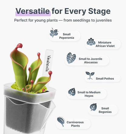 12 Pack 2.5" Small Clear Self Watering Pots with Humidity Dome for Indoor Plants,Seed Starter Cups, Tissue Culture Acclimation Kit,Alocasia Corm Propagation,African Violet,Cuttings,Seedling