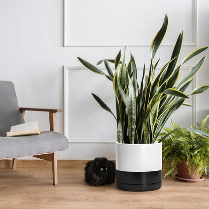 D'vine Dev 12 Inch Ceramic Planter Pot, Black White Two Tone, 94-O-F-L | Modern Cylinder Design, Drainage Hole & Saucer Included, Stable Structure, Elegant Home Accent