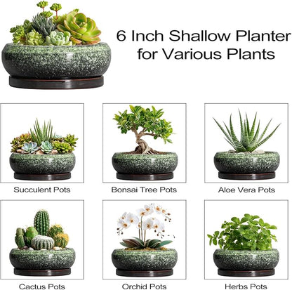 Succulent Pots 6 Inch - Ceramic Bonsai Pots with Drainage Hole and Saucer, Succulent Planters for Indoor Outdoor, Small Shallow Planter, Round Cactus Pot, Room Decor, Plant Lover Gift, Green