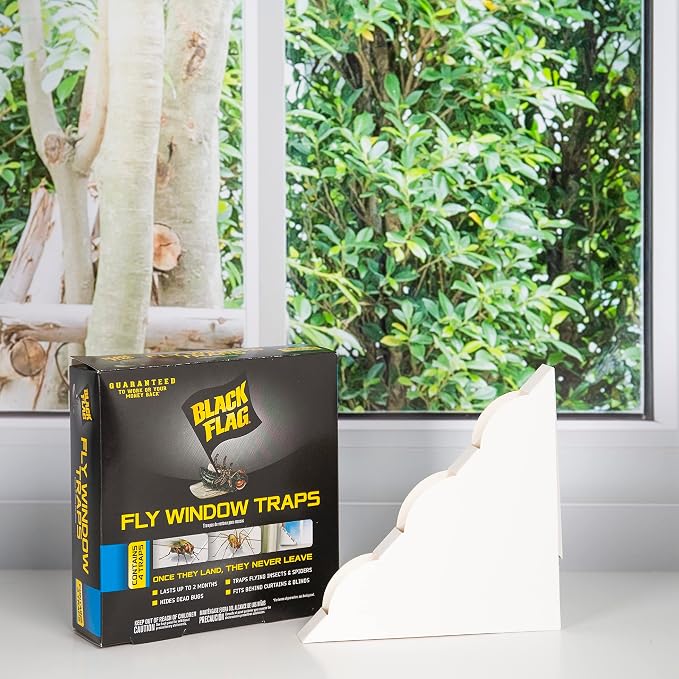 Black Flag, Fly Window Trap, 4-Count, Clear,(Pack of 12)