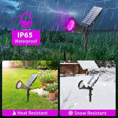 T-SUN LED Solar Spotlights, Waterproof Outdoor Security Landscape Lights, Auto ON/Off Solar Lights 180 Angle Adjustable for Tree, Patio, Yard, Garden, Driveway, Stairs, Pool Area(Purple-4 Pack)