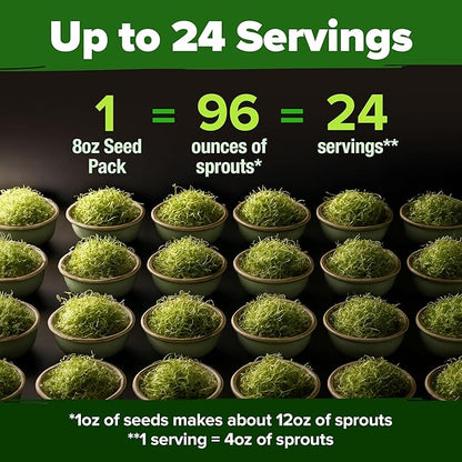 HOME GROWN Broccoli Seeds 8 oz Bulk Heirloom Non-GMO, High Germination, Sulforaphane Rich Sprouting Seeds, Nutritious Microgreens, Healthy Sprouts in 5 Days, Superfood Boost (Brassica oleracea)