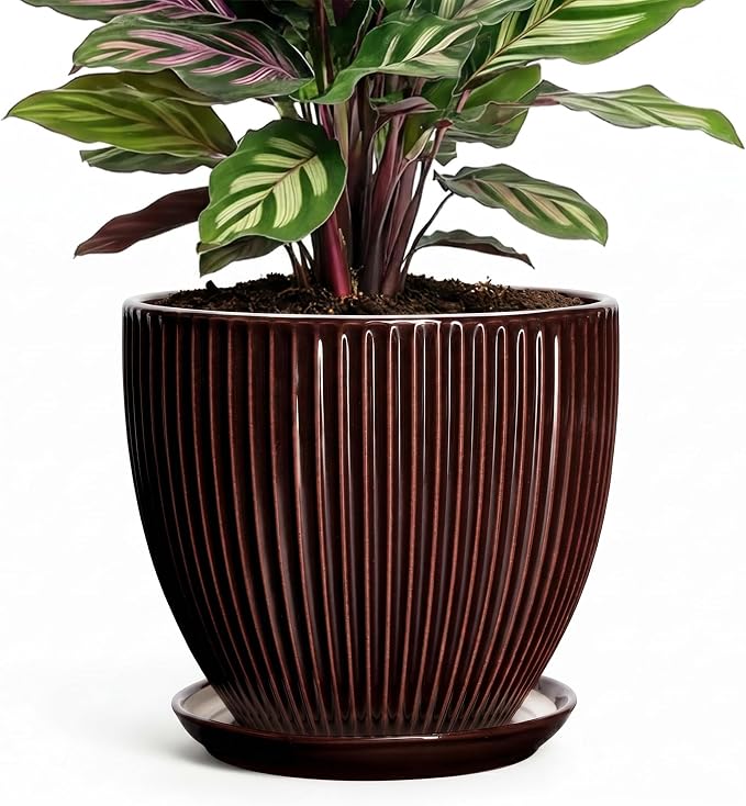6 Inch Planter, Ceramic Plant Pots Indoor with Drainage Hole and Saucer, Round Flower Orchid Pots for Indoor Plants, Succulent Pot, Small Modern Planter, Bathroom Decor, Brown