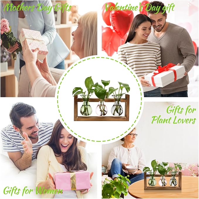 Plant Propagation Station Plant Terrarium Unique Birthday Gifts for Women | Plant Lovers Home Office Decor Planter with Wooden Stand - 3 Bulb Glass Vase