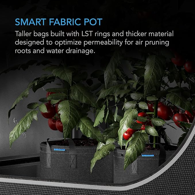 AC Infinity Heavy Duty Fabric Pots, 7 Gallon Aeration Grow Bags 5-Pack with 500G Thick Nonwoven Fabric and Multi-Purpose Rings, for Low Stress Plant Training Fruits, Vegetables, and Flowers