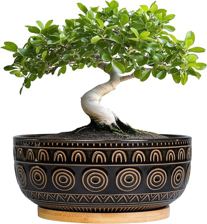 Eightpot Ceramic Bonsai Pots - 8 Inch Plant Pot for Succulent, Round Planter for Indoor Plants, Shallow Planters with Drainage Hole and Tray, Boho Bonsai Bowl, Living Room Decor, Black