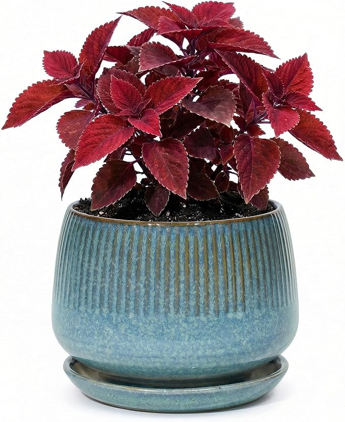 7.5 Inch Ceramic Planter with Saucer,Modern Garden Pots with Drainage Hole Mesh Net, for Indoor Outdoor Use (Crackle Blue)