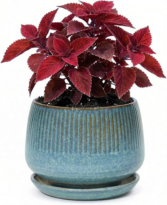 7.5 Inch Ceramic Planter with Saucer,Modern Garden Pots with Drainage Hole Mesh Net, for Indoor Outdoor Use (Crackle Blue)