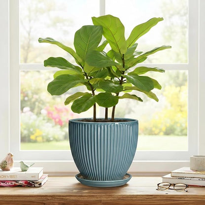 Ceramic Planter, 8 Inch Plant Pot Indoor with Drainage Hole and Saucer, Decorative Planters for Indoor Plants, Modern Flower Pots, Round Planter, Room Decor, Gifts for Plant Lovers, Glaze Blue
