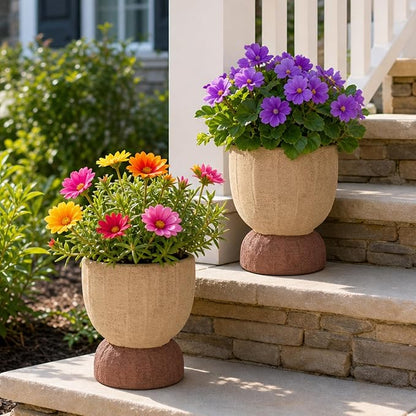 DREAMLOOM 2Pcs Flower Pot with Drainage Holes, 6.4Inch Terracotta & Coarse-Grained Planters for Succulents, Cactus Aloe, Herbs, Orchid, Vintage Color