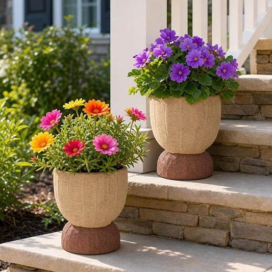 DREAMLOOM 2Pcs Flower Pot with Drainage Holes, 6.4Inch Terracotta & Coarse-Grained Planters for Succulents, Cactus Aloe, Herbs, Orchid, Vintage Color