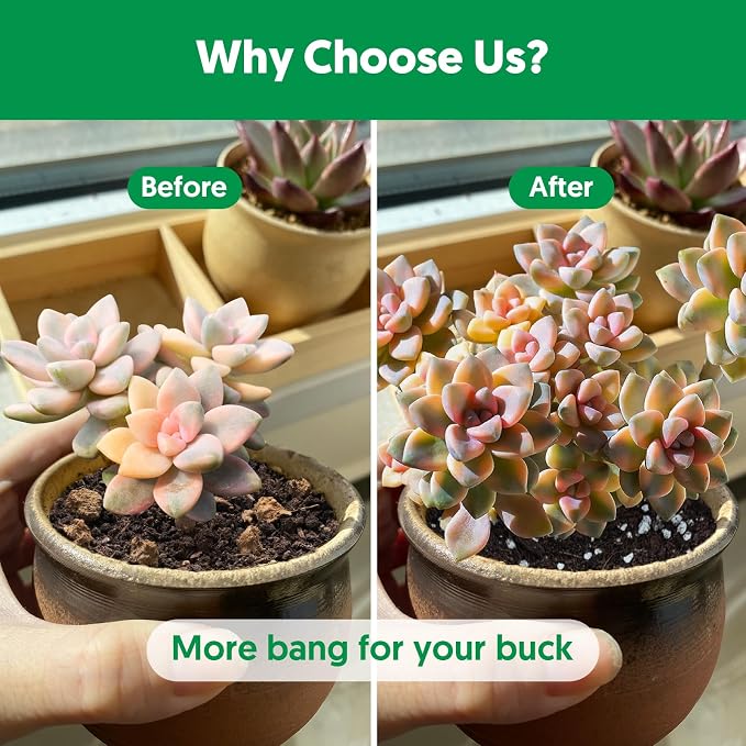 Succulent Cactus Potting Soil Mix (2 qt), All-Purpose Garden Potting Mix for Indoor Outdoor Plants, Quick Drain Houseplant Orchid Bonsai Perlite Soil, Ready-to-Use, Resealable Bag Design