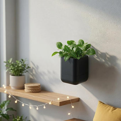Phoenix Vine 4.5 Inch Wall Mounted Self-Watering Planter Pot for Indoor Houseplants and Herbs | Hanging Planter for Window Sills, Bathroom Walls, Home & Office Décor, Black, Set of 2, 01-B-E-2