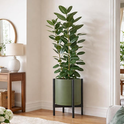 D'vine Dev Plastic Pot with Ebony Wood Stand, Olive, 14 in, 55-C-T-3 | Mid-Century Inspired Design, Elevated Plant Display, Clean Lines, Sturdy Support, Modern Space-Saving Style