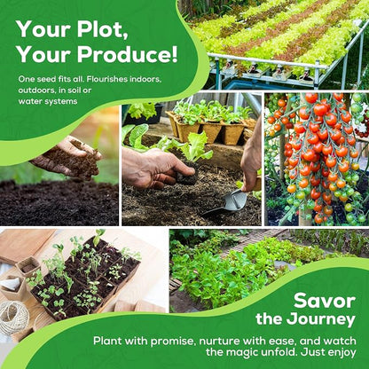 30 Vegetable Seeds Variety Pack - 17,200+ Heirloom Vegetable Seeds for Planting, Non-GMO Seed Packets with Tomato, Lettuce, Pepper, Cucumber for Indoor, Outdoor, Greenhouse & Hydroponic Gardening