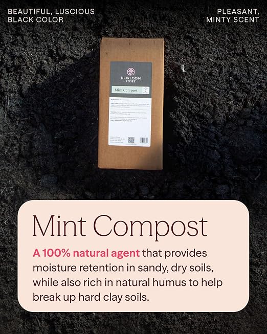 Heirloom Roses Mint Compost,100% Natural,Top Soil Amendment for Rose Planting, Rich in Micronutrients and Nitrogen for Garden Vegetables and Flowers, 7 Quart Box